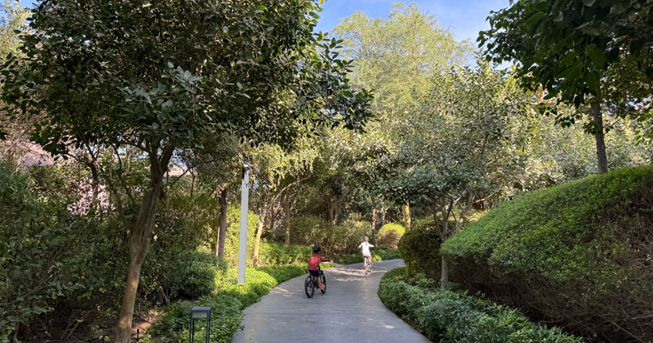 invest in Real estate