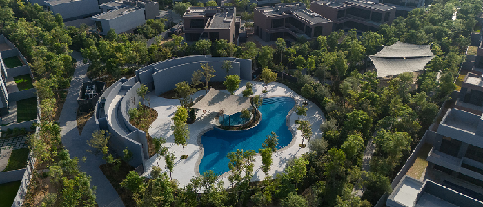 The "Forest-First" Economy: Why 2,000 Families Queued at 2 AM for Masaar